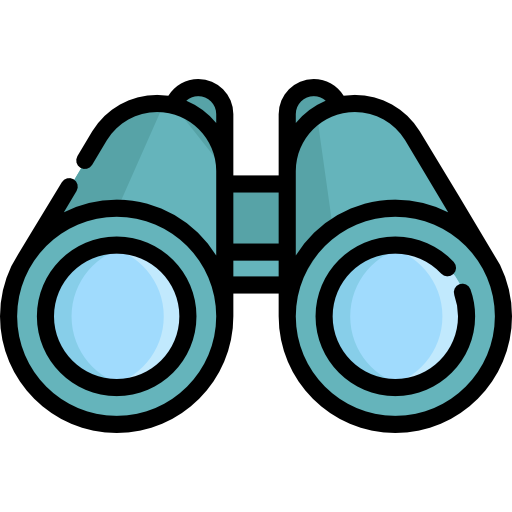 vision icon